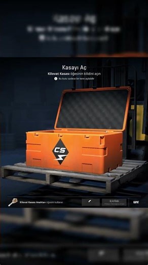 CS2 CASE OPENING