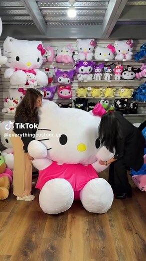 Giant Hello Kitty Plushie - A Must See!