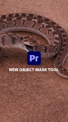 Discover the New Object Mask Tool in Premiere Beta
