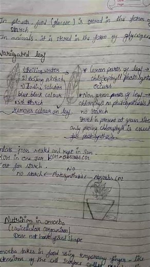 Class 10th science notes 💯