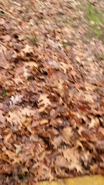 Contractor Fails: Home Inspection Horror Stories