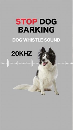 Stop Dog Barking Fast with a Dog Whistle (20s) – Almost Silent to Humans