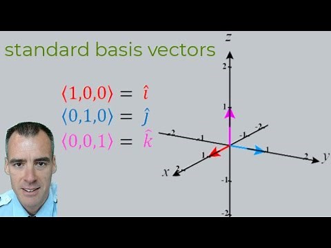 What are Standard Basis Vectors?