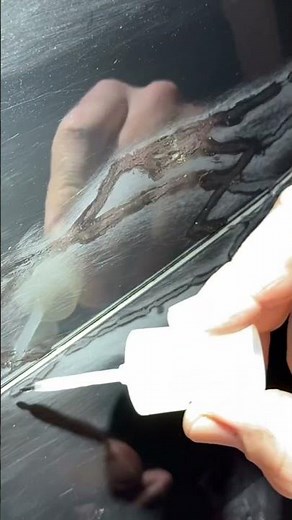 Auto Lack Kratzer entfernen mit lackstift: Klarlack