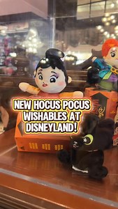 It’s just a bunch of Wishables! 🧙‍♀️✨ Unboxing the brand new Hocus Pocus Wishables at Disneyland and they are pure magic. From the Sanderson Sisters to Binx, these spooky-cute plush are the perfect Halloween treat! 🎃🪄 #HocusPocus #DisneyWishables #DisneyHalloween #disneyland | Theme Park Mom