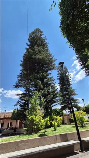What a beautiful blue sky in the plaza of my #Chavinda #IwasborninChavinda