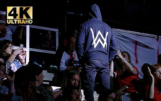 【4K珍藏】神曲《Faded》嗨爆全场！让你爱上电音！