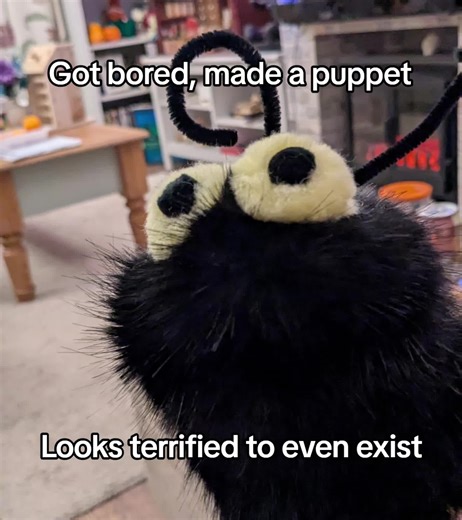 Creating a Terrified Puppet: A Handmade Craft Journey