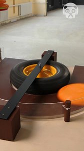 My Dog Absolutely Loves This! | Hilarious Ted