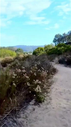 Peaceful Silent Hiking Experience | Relaxing Nature Escape