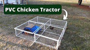 Building a PVC chicken tractor for cheap and easy use