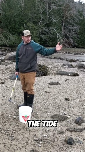 Clam Digging: Simple Technique for Finding Clams #shorts