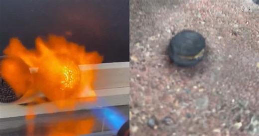 Bizarre video shows Oreo cookies withstanding fire, sparks internet curiosity & concern on food safety (WATCH)