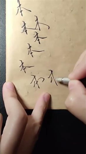 一起来练字（本）#写字 #钢笔字 #连笔字 #硬笔练字 流年笔迹｜行书教学｜钢笔书法 Calligraphy｜Handwriting Art #write and learn