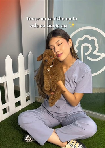 Así se siente tener un #caniche 😂🐾 #poodle #cachorro #curiosidades #fyppppppppppppppppppppppp