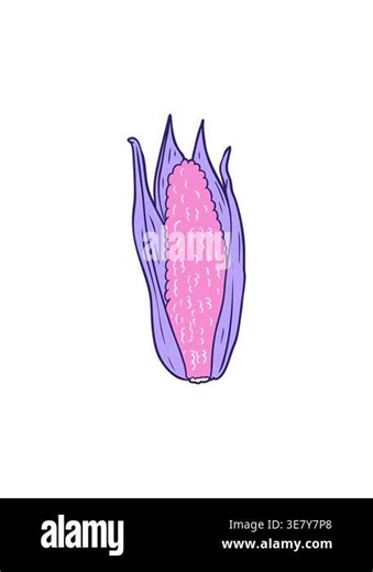 attention grabbing animation of cartoon organic corn Stock Video Footage - Alamy