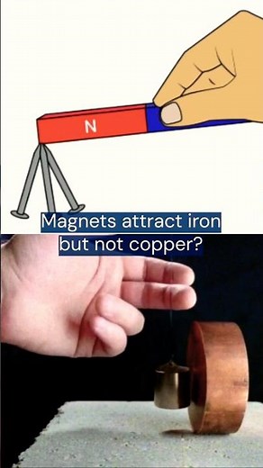 Why do magnets attract iron but not copper?#science #tellmewhy #physics #shortsvideo #short