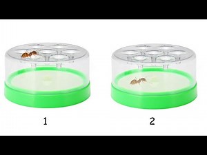 Watch how to sign 'snare' in American Sign Language.