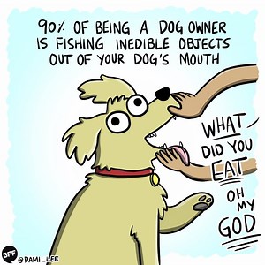 1.6M views · 35K reactions | BuzzFeed Animals on Reels | Facebook