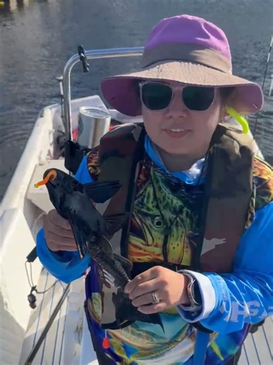 POV: You just found Florida’s “zombie fish” 🧟‍♂️🐟 This armored algae-eater is one of the most invasive fish in our waters. People buy them for aquariums… then release them when they get huge (they grow over 2 feet long 😳). Now they’ve taken over lakes, canals, and rivers — and they: • survive in low-oxygen water • have almost no natural predators • dig burrows that cause shoreline erosion Basically… underwater iguanas. Here’s the surprising part 👀 👉 They’re actually edible and used in tradi