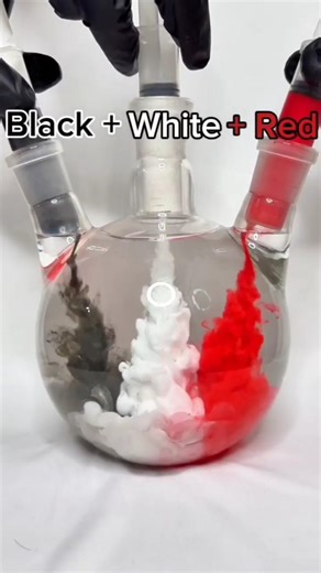 Black White Red Color Mix Magic 🎨