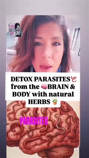 THE PARASITE TRIO YOU NEED TO KNOW ABOUT 🪱 👇🏽👇🏽👇🏽 Dr. Hulda Cl@rk rocked the medical world with a bold claim: 👉 Parasites are at the root of almost ALL disease. But she didn’t stop there She then discovered that to fully eliminate parasites, you must target ALL forms and life stages: ➤ Eggs ➤ Larvae ➤ Adults That requires synergy. And these 3 powerhouse herbs deliver just that: 1. Clove – Rich in eugenol, it destroys parasite eggs before they hatch. 2. Black Walnut Hull – Packed with jug