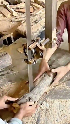 Worker Cutting Large Tree Trunk Precisely Using Vertical Band Saw