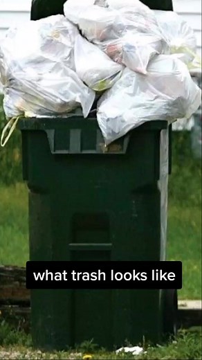 entertainment on TikTok