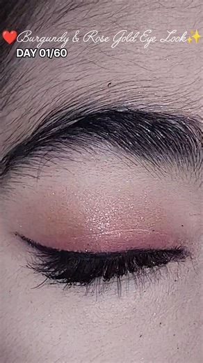 Burgundy & Rose Gold Eye Look Glam Eye Makeup Day 01/60 series #makeup #ytgrowth #trending #shorts