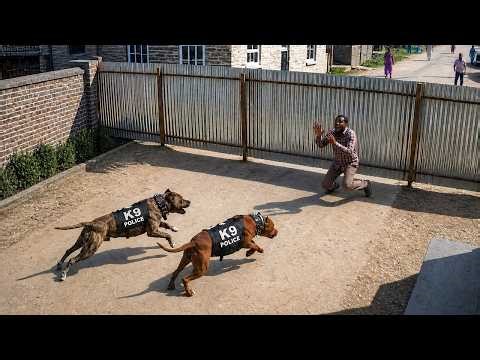 🔥 When Suspects Mess With The Wrong Police K9 | Dashcam Instant Karma #1