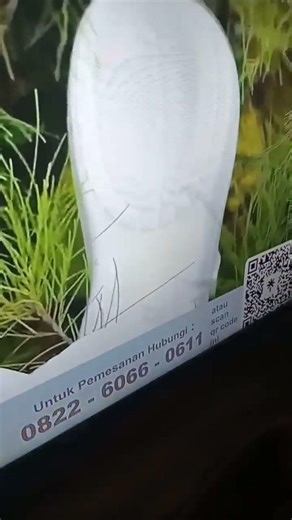 Sharp TV glitch error on screen #antigacha @KienVo1 @ERRpixel1 @WinFun1