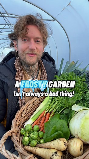 9.5K views · 254 reactions | Some plants actually taste better after...