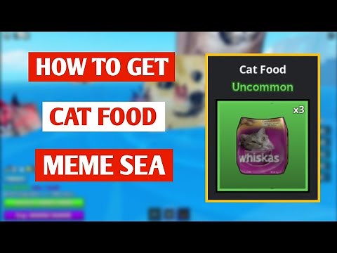 How To Get Cat Food In Meme Sea (2025) | Where To Get Cat Food In Meme Sea