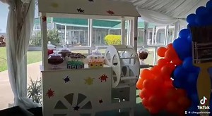 Sharing a few recent video clips of some Party settings & Maintable backdrops : PAINT SPLASH ( with audio ) | Hoppers & Bugs Children's Party Planner and Jumping Castles