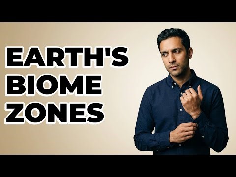 How Do Geographers Classify Global Biome Zones?