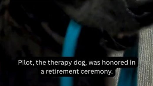 Therapy dog retires