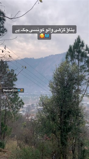 Exploring Hidden Gems in Gadhi: A Local's Guide