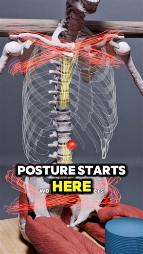 32K views · 323 reactions | Most of us spend hours sitting at a desk,...