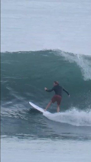 The Firewire NEUTRINO is basically a modern skate for the ocean