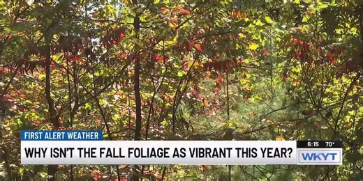 What’s going on with Kentucky’s fall colors this year?