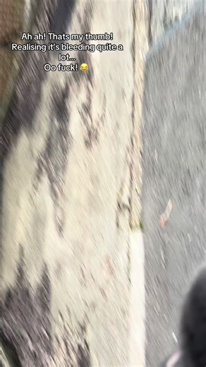 Training Your Chewy Dog: Insights and Challenges