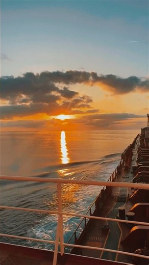 merchant Navy|navy status|shorts video|trending video #ship #trending #sailorlife
