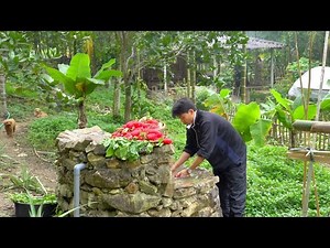 A Bountiful Radish Harvest | A Full Day of Gathering to Make Traditional Dried Radish
