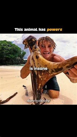 Can you find this animal? #usa #catchandcook #fishing credits@wadepapenfus