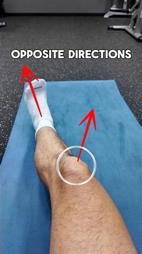 Rotated Leg? Correct leg shape?