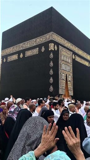 mashallah 🥹💚