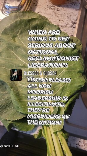 The Descendants of the Victims Of The Horrendously Cruel Triangular Trans-Atlantic African-centered Enslavement Trade Systems Had A Prophetic Team Raised Up And Sent To Us! | Muhammad Ali Abdul Ad'l