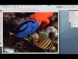 Proof Colors in Photoshop