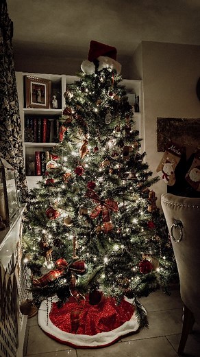705 reactions · 24 comments | His vs Hers Christmas trees… yes, we...