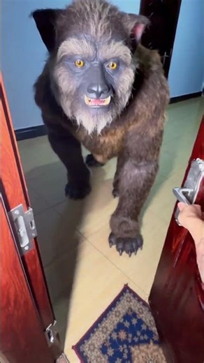 Room blind box #shorts#funny